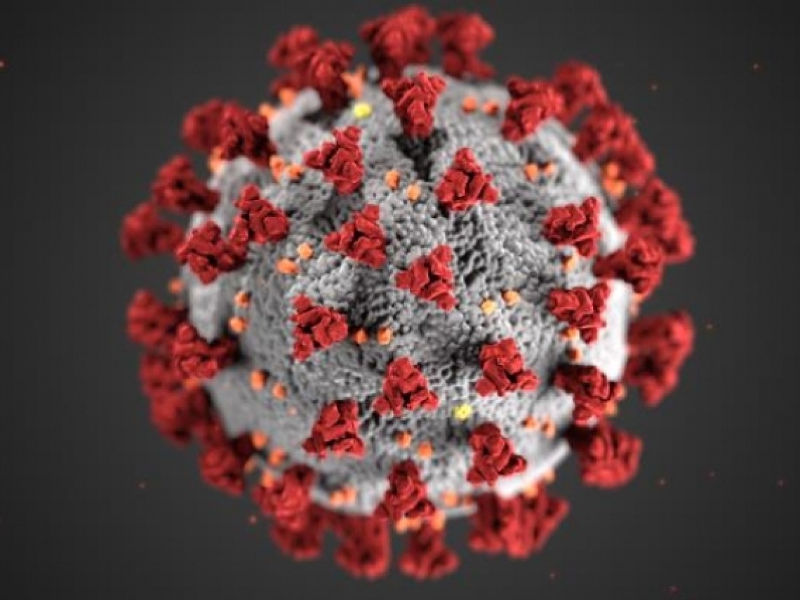 an illustration of the SARS-CoV-2 virus